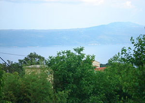 Placeholder  Image